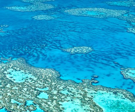 Australasia and Pacific