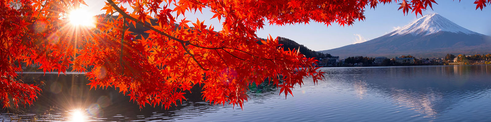 Mount Fuji
