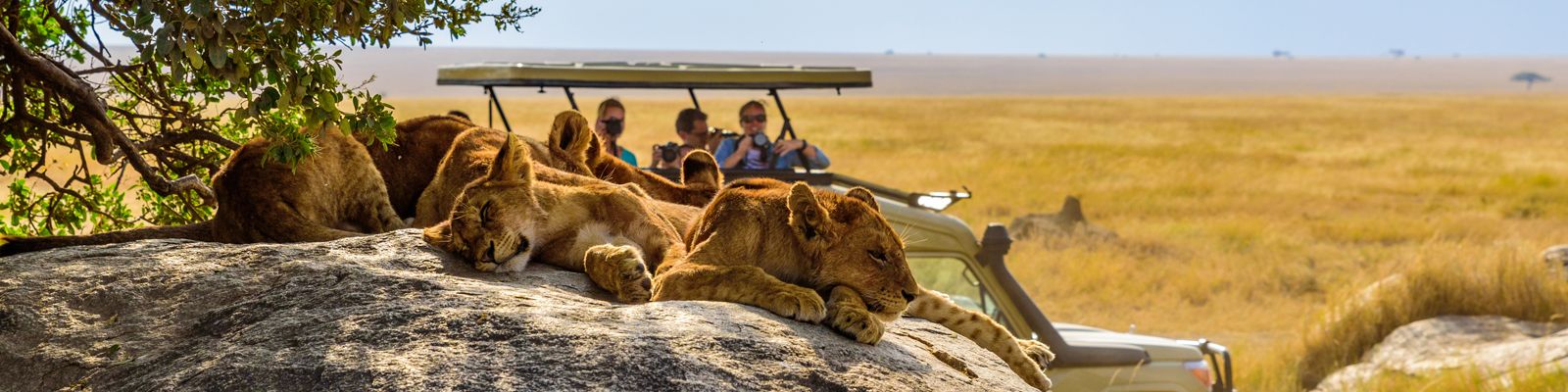 Save up to £1,300 per couple on Escorted Tours