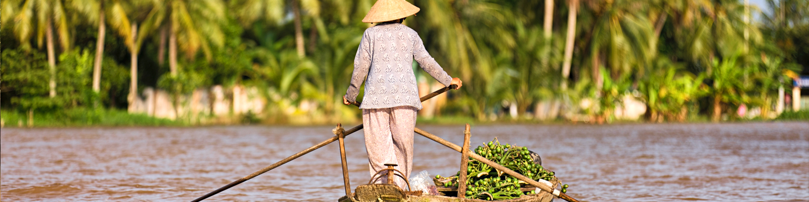 The Mekong