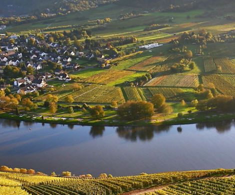 Moselle River Cruises