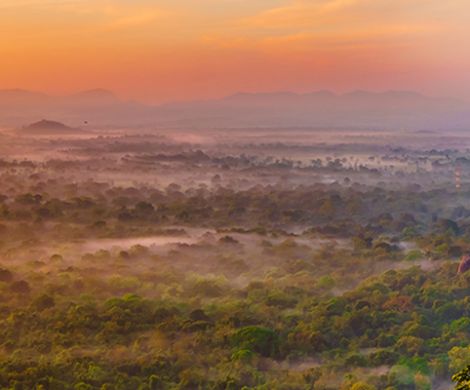 Sigiriya Rock