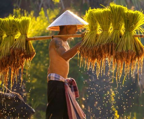 Save up to 10% on Escorted Tours