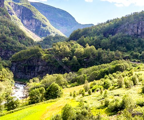 Scenic train holiday