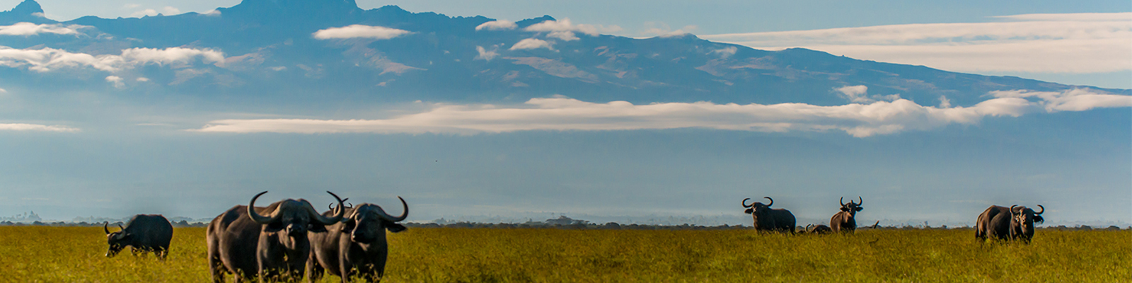 Mt Kenya National Park