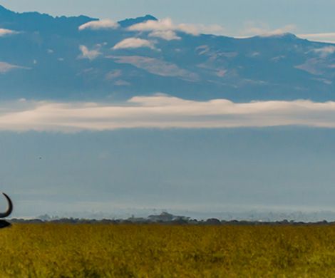 Mt Kenya National Park