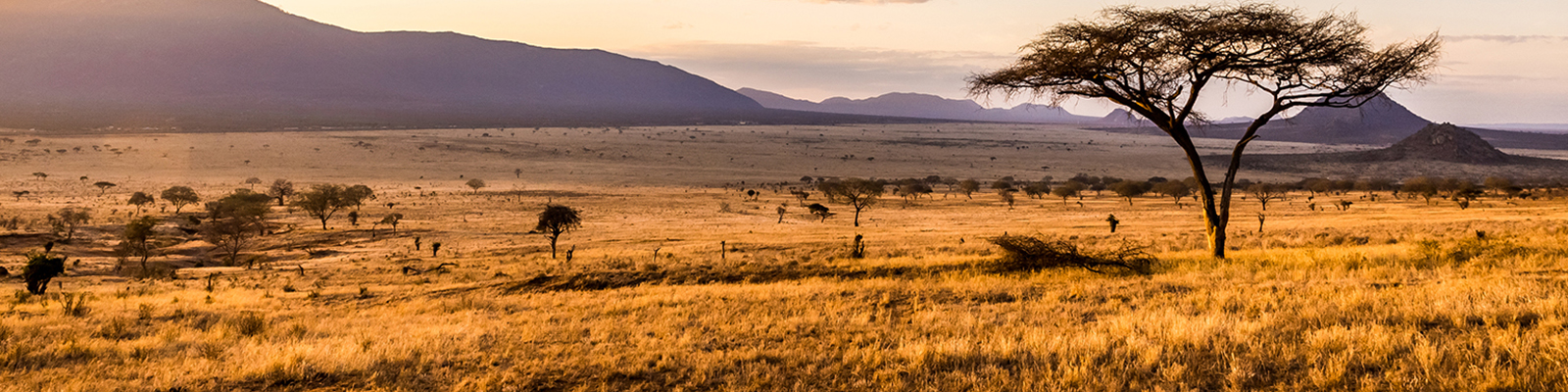 Tsavo National Park
