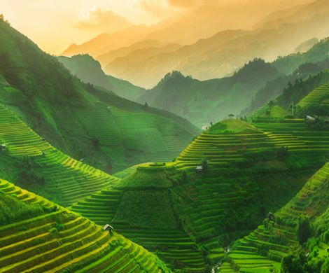 Vietnamese countryside