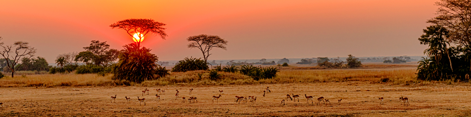 Zambia